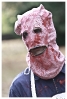 Zombie Walk 2010 by others_21