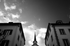 _DSC3993